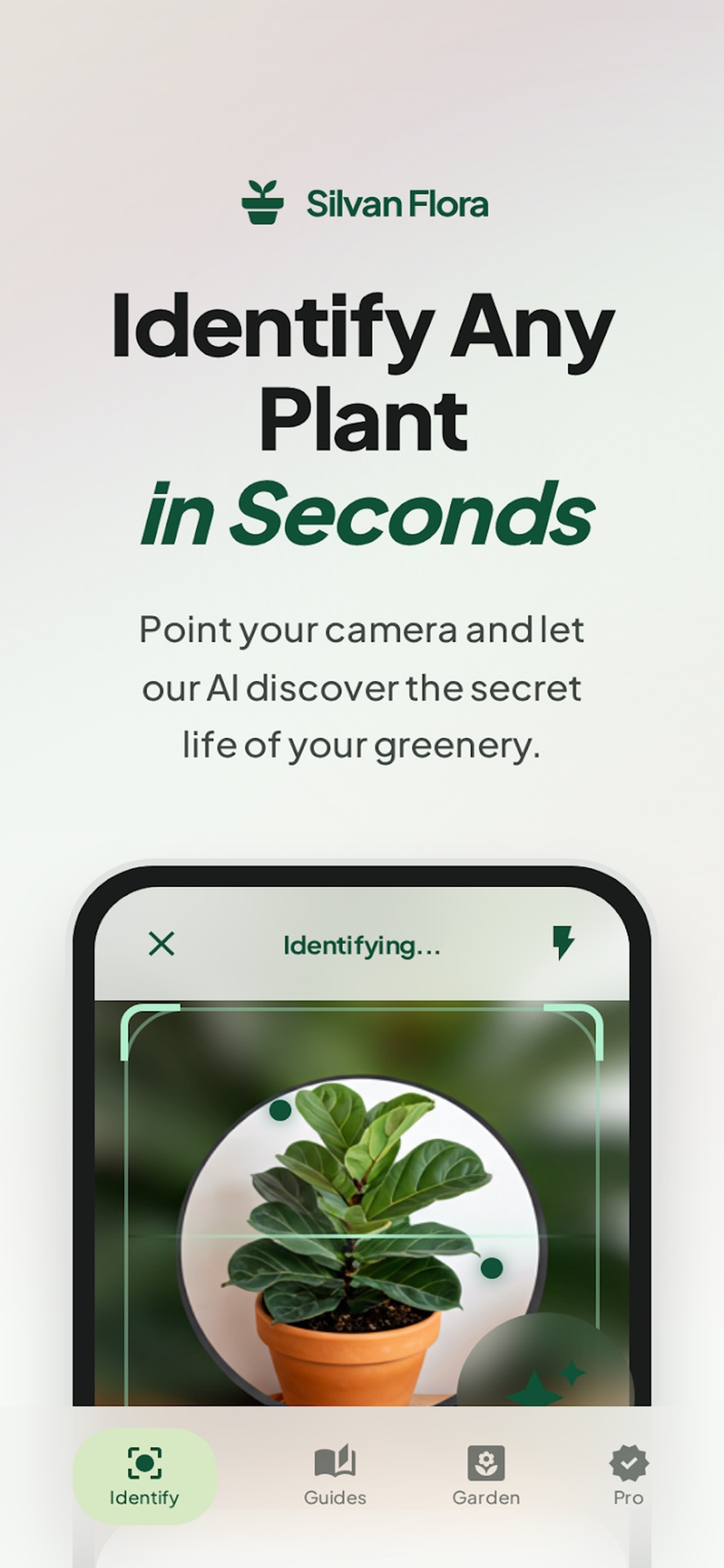 Plantive identifying a fiddle leaf fig through the camera viewfinder