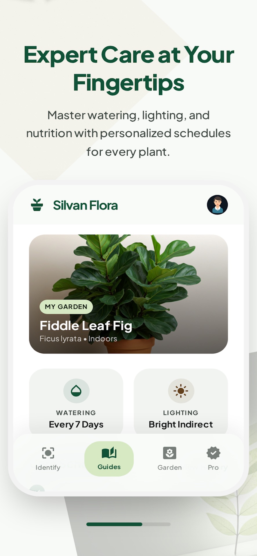 Plantive care guide for a fiddle leaf fig showing watering every 7 days and bright indirect light