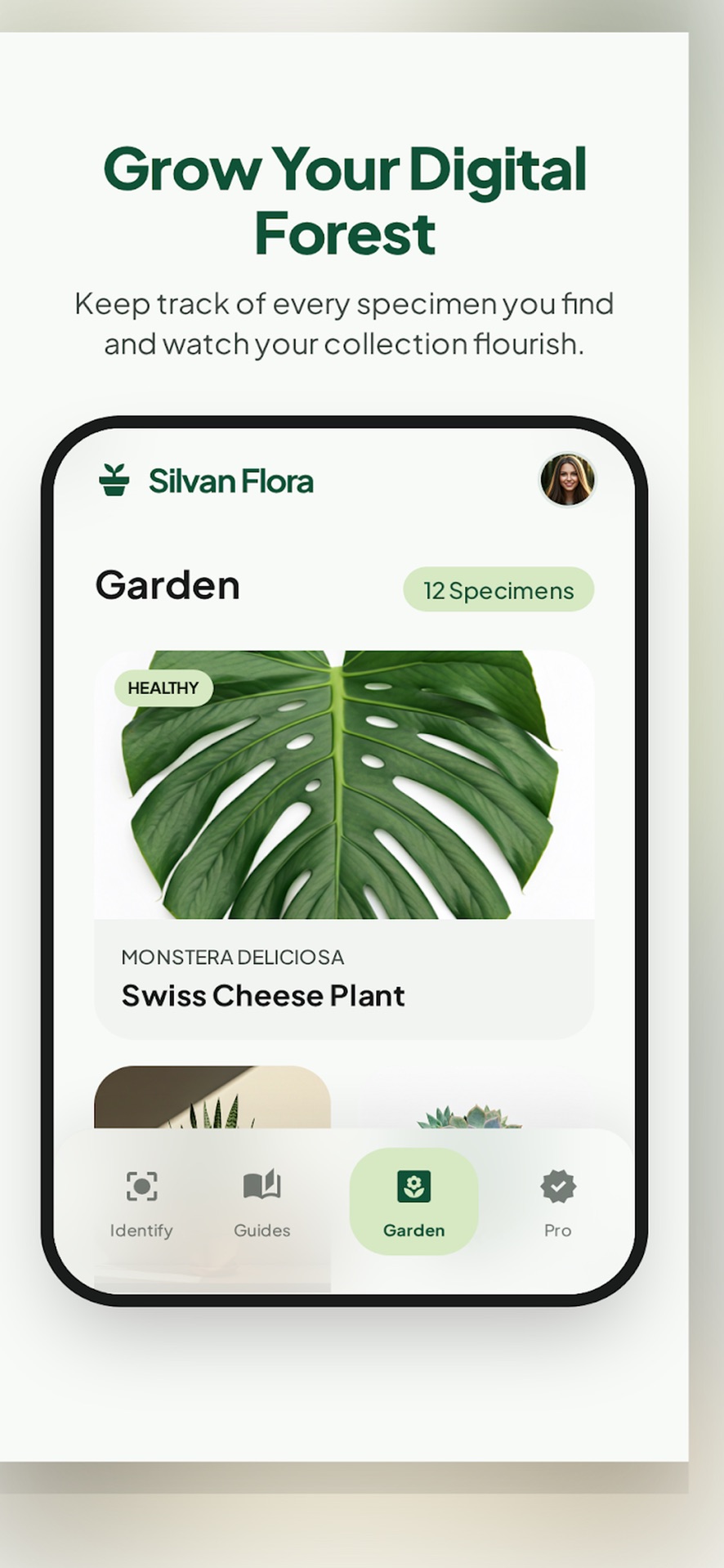 Plantive garden collection listing saved plants including a monstera deliciosa